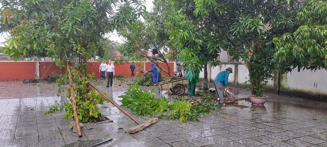 Dọn dẹp sau bão